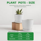 Docrin Ceramic Plant Pots Indoor, 6.6 + 5.5 Inch Flower Pots with Drainage Holes and Saucer for Plants, Set of 2, Milky White Honeycomb