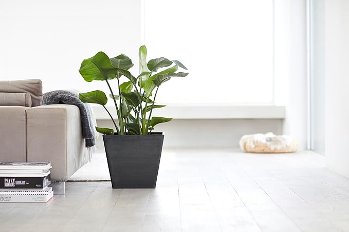 Ecopots Rotterdam Durable Modern Square Indoor/Outdoor Recycled-Based Composite Flower Planter, Dark Grey, 15.75"