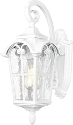 Emliviar Outdoor Wall Lights, 1-Light Modern Outside Lights for House, 17.5 Inch Height with Water Glass, White Finish, WE215B WH