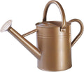Metal Watering Can for Outdoor Plants, Galvanized Steel Watering Can with Removable spout, 1 Gallon,Perfect Home & Garden Decor Gold