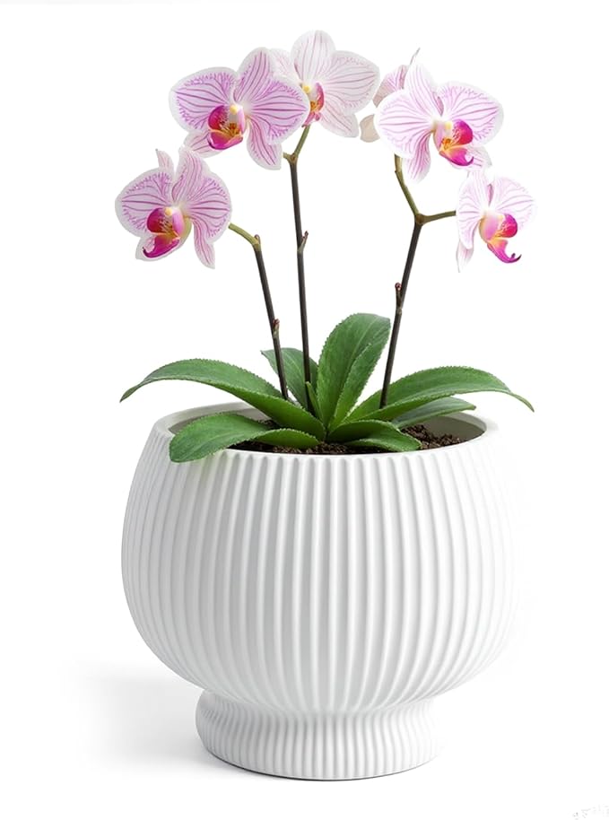 OXART 9.4 Inch Plant Pots, Ceramic Planters for Indoor Plants, Outdoor Flower Pots for Plants with Drainage Holes, Decorative Pot for Flowers & Herbs, No Trays, White