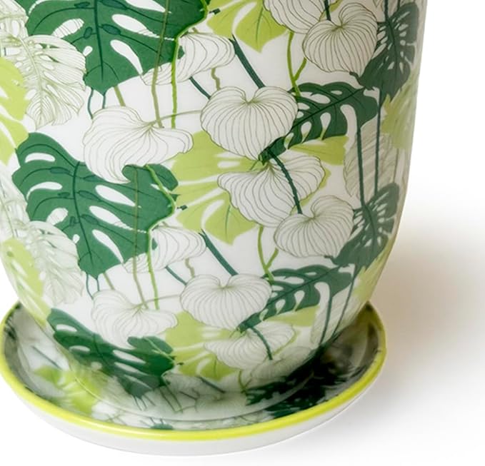 CHIVE 'Liberte' Ceramic Succulent Planters — Cute 4.25 Inch Vintage Style Pots for Indoor Plants — Beautiful Home and Kitchen Décor — Monstera