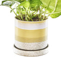 CHIVE - Minute, Succulent, Cactus Pot and Saucer Ceramic Flower and Plant Container with Drainage Hole and Detachable Saucer Great for Indoor/Outdoor Garden Decor (Yellow)