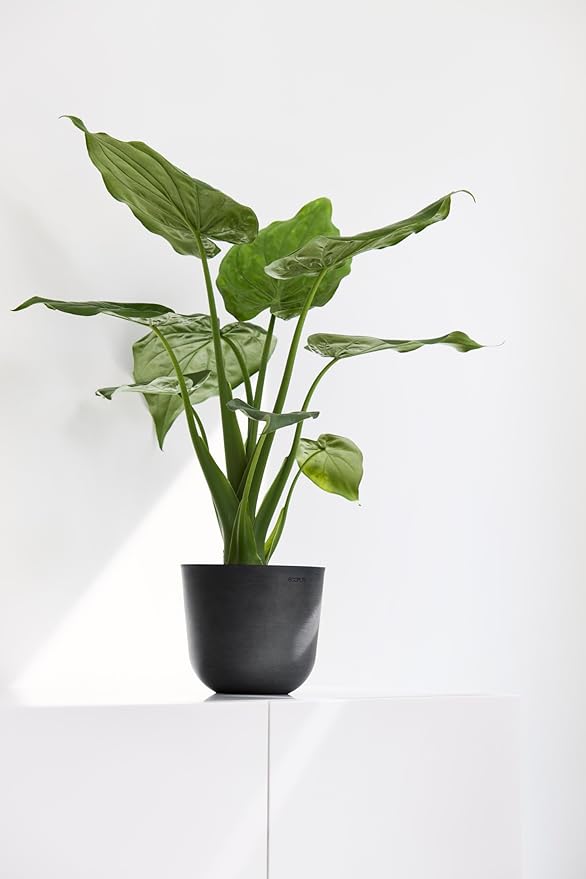 Ecopots Oslo Mini Durable Modern Round Indoor/Outdoor Recycled-Based Composite Flower Pot Planter, Dark Grey, 6"