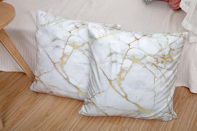 CAPSCEOLL White Gold Throw Pillow Covers,Gray White Modern Abstract Art Painting Throw Pillows for Couch,Decorative Pillow Covers 18X18 Inch 2 Pcs Square Cushion Cover Gift for Couch Sofa
