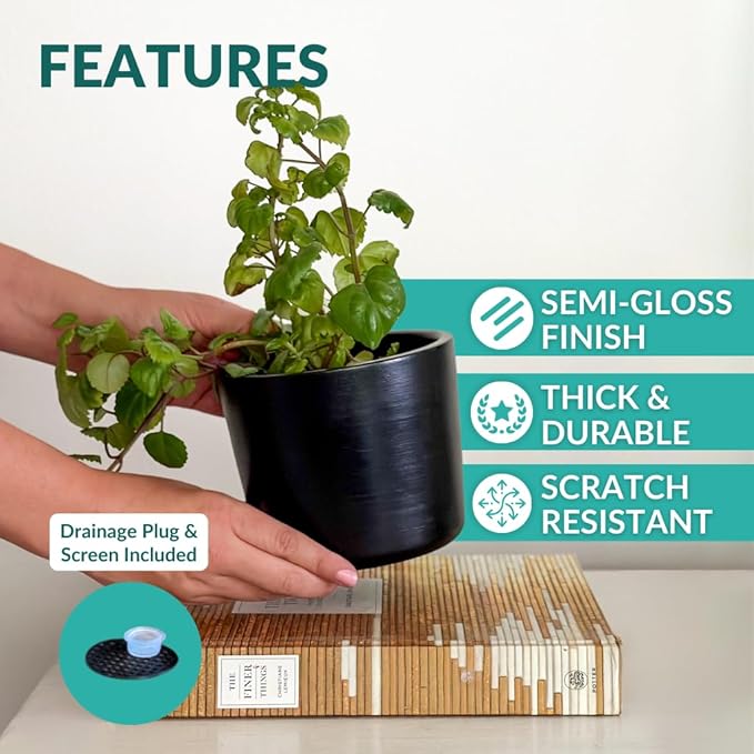 Willowy 6 Inch Black Ceramic Planter - 6 Inch Black Ceramic Pots for Plants Like Aloe, Baby Rubber, Jade, Money, and Snake - Pot with Drainage