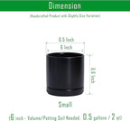 D'vine Dev Set of 2 Plants Pots, 6.5 Inch Ceramic Planter Pot for Plants with Drainage Hole and Saucer, Black, 94-V-C-2