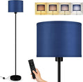 Floor Lamps for Living Room, Stepless Dimmable Blue Floor Lamp with Remote, 2700K-6500K Colors Temperature & Brightness Adjustable,10W/1200LM LED Floor Lamp, Modern Standing Lamp for Bedroom/Office