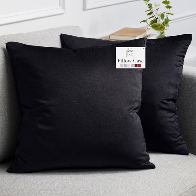 lalaLOOM Velvet Throw Pillow Covers, Set of 2, 18x18 Decorative Square Pillows Home Decor, Soft Accent Cases, Silky Machine Washable Pillowcases for Sofa, Couch, Bedroom, Living Room, Jet Black