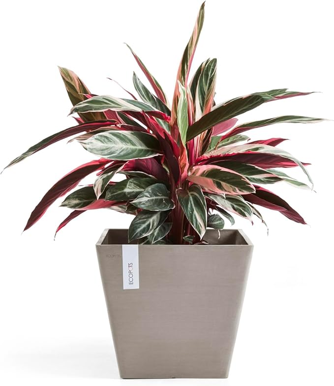 Ecopots Rotterdam Durable Modern Square Indoor/Outdoor Recycled-Based Composite Flower Planter, Taupe, 15.75"