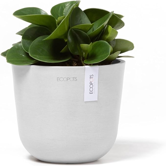 Ecopots Oslo Mini Durable Modern Round Indoor/Outdoor Recycled-Based Composite Flower Pot Planter, Pure White, 6"