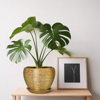 Indoor Plant Pot 6 Inch - Ceramic Pot for Plants Outdoor Planter with Drainage Hole and Saucer Round Decorative Planter Modern Flower Pot for Home Decor Gold