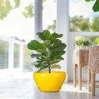 Ceramic Planter for Indoor Plants - 13 Inch Mid-Century Decorative Modern Large Plant Pot with Drainage Hole and Saucer, Home Balcony House Garden Patio Room Office Decor, Yellow