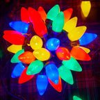 C9 Christmas Lights Outdoor, 50Feet Vintage Christmas String Lights with 50 Colored Bulbs, Connectable Waterproof Lights for Holiday Party Roofline Backyard Garden Patio, Green Wire (Multicolor)