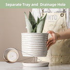 8 Inch Plant Pot: Ceramic Planter with Drainage Hole & Saucer - Cream White Flowerpot for Indoor & Outdoor Plants - with Separate Tray for Home & Office - Wave Embossed Design