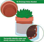 Phoenix Vine 4 Inch Self Watering Planter Pot, Terracotta Clay Pot with Glass Reservoir for Indoor Plants, Herbs, Flowers, Set of 1, 52-A-E-1