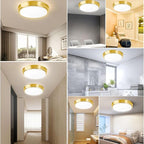 13 Inch Dimmable Flush Mount LED Ceiling Light Fixtures, 2-Pack Gold LED Ceiling Lights with 5 Color Temperatures (2700K/3000K/4000K/5000K/6500K), Modern Round LED Lights for Kitchen Living Room