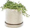 CHIVE ‘Minute’ Ceramic Planter Pot — Cute 5” Colorful Succulent Pots for Indoor & Outdoor House Plants — Beautiful Modern Farmhouse Kitchen Decor — Ivory Speckle