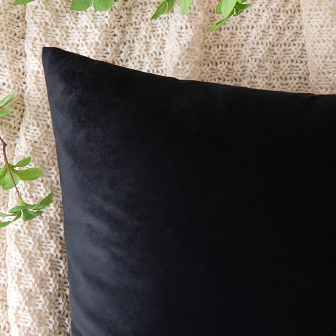 EMEMA Pack of 2 Velvet Pillow Covers Decorative Square Pillowcase Soft Solid Cushion Case for Sofa Bedroom Car 16x16 Inch Black