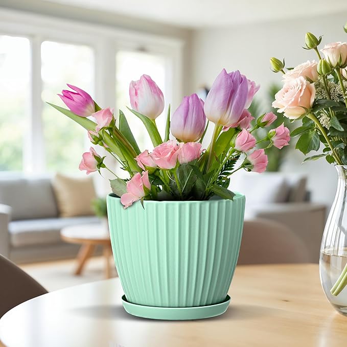 Mint 6-Inch Plant Pots with Drainage & Saucers 3 Pack, Indoor & Outdoor Planters for Houseplants, Herbs, and Flowers, Durable & Weatherproof Material, Stackable, Lightweight, Minimalist Design