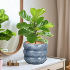 SQOWL Ceramic Planter 8 Inch - Indoor Plant Pot with Drainage Hole Outdoor Planter Round Flower Pot Modern Decorative Plant Pot for Home Office Decor Gray