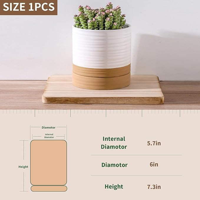 6 Inch Ceramic Planter Pot with Drainage Hole and Saucer,Round Flower Plant Pot for Indoor Outdoor,Porcelain Garden Pots for Farmhouse Decorative with Deep Reservoir,White
