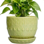 G EPGardening Ceramic Planter 5.5 Inch - Boho Plant Pot Indoor with Drainage Hole and Saucer, Round Flower Succulent Pot for Plants, Plant Lovers Gifts, Garden Office House Decor, Green