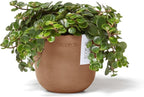 Ecopots Oslo Mini Durable Modern Round Indoor/Outdoor Recycled-Based Composite Flower Pot Planter, Terracotta Color, 4.5"