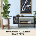 Fox & Fern Large Adjustable Plant Stand Indoor — 11 to 15 Inch Premium Mid Century Bamboo Plant Stand; Plug In Design; Easy to Assemble; Two Heights - For 11, 12, 13, 14 & 15 Inch Pots (Not Included)