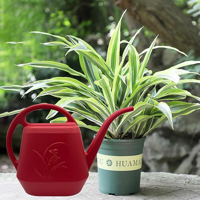 Plastic Watering Can - Wine Red Color - 1/2 Gallon