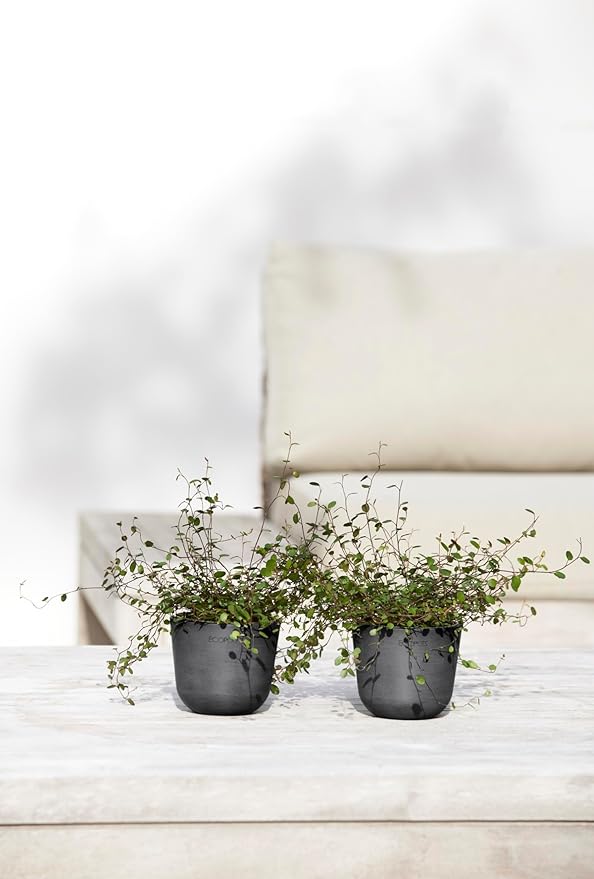 Ecopots Oslo Mini Durable Modern Round Indoor/Outdoor Recycled-Based Composite Flower Pot Planter, Dark Grey, 4.5"