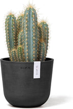 Ecopots Oslo Mini Durable Modern Round Indoor/Outdoor Recycled-Based Composite Flower Pot Planter, Dark Grey, 6"