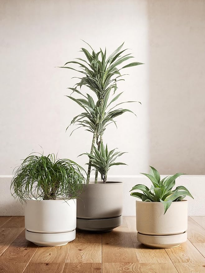 LE TAUCI 12 Inch Pots for Plants with Saucer | Ceramic Outdoor & Indoor Planter Pot for Plants | Drainage Hole, Mesh Pad & Plug | Unglazed Porous | Modern for Home, Office and Patio – Neutral Gray