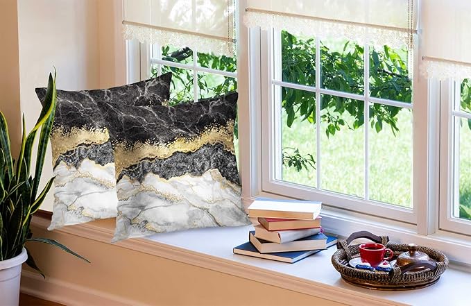 CAPSCEOLL Black Gold and White Grey Art Artwork Contemporary Decorative Gray Home Decorative Throw Pillow Covers Cushion Covers for Bedroom Sofa Living Room 20X20 Inches Set of 2