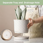 8 Inch Plant Pot: Ceramic Planter with Drainage Hole & Saucer - Flowerpot for Indoor & Outdoor Plants with Separate Tray for Home & Office - Honeycomb Design, Cream White
