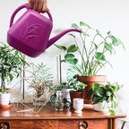 Plant Watering Can - 1 Gallon - Rose Red - with Long Spout for Indoor and Outdoor Plant Garden
