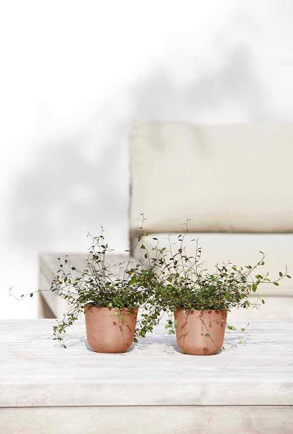 Ecopots Oslo Mini Durable Modern Round Indoor/Outdoor Recycled-Based Composite Flower Pot Planter, Terracotta Color, 4.5"