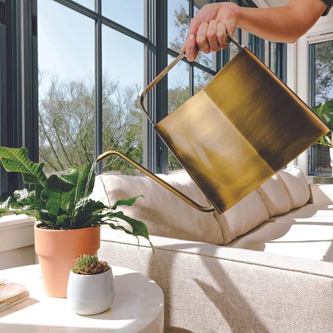 Modern Sprout Brass Finish Plant Watering Can - Long Spout Stainless Steel Vessel for Outdoor & Indoor Plants - Rust Resistant 3L Capacity - Stylish Garden Accessory for Houseplants & Decorative Use