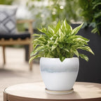 6 Inch Plant Pot - Ceramic Planters for Indoor Ourdoor Plants, Modern Succulent Pot, Round Planter with Drainage Hole and Saucer, Room Office Garden Home Decor, Plant Lover Gifts, White-Grey