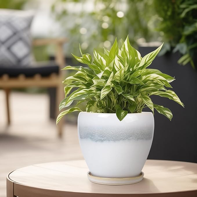 6 Inch Plant Pot - Ceramic Planters for Indoor Ourdoor Plants, Modern Succulent Pot, Round Planter with Drainage Hole and Saucer, Room Office Garden Home Decor, Plant Lover Gifts, White-Grey