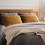 PHF Super Soft Velvet Pillowcases Standard Size, No Insert, 2 Pack Luxury Cozy Warm Pillow Shams Covers with Envelope Closure, 20" X 26" Cozy Fuzzy Flannel Pillow Case, Brownish Camel