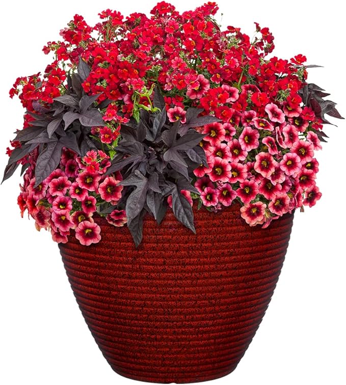 Classic Home and Garden Cali Modern Round Resin Planter for Indoor Outdoor Plants (13" Lava Red)