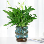 Ceramic 5 inch Plant Pot - Planter for Indoor Plants with Drainage Hole, Flower Pots for Orchid, Succulent,Outdoor Plants, Modern Glaze Planters for Home Office Decor Gift