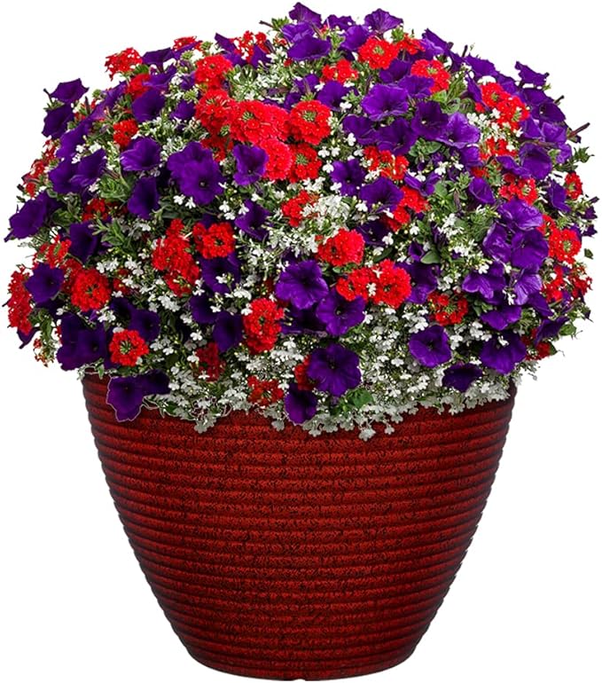 Classic Home and Garden Cali Modern Round Resin Planter for Indoor Outdoor Plants (13" Lava Red)