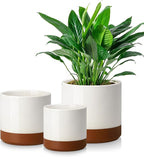 vancasso 6"+8"+10" Ceramic Pot for Plants, Large Outdoor Indoor Planter Pots with Drainage Holes, Set of 3, Khaki