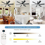 56inch Black Ceiling Fans with Lights and Remote/App Control, Dimmable LED, Reversible DC Motor, Noiseless, 6 Double-Side blades, 6 Speeds Low Profile Ceiling Fan for Indoor/Outdoor Use