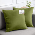 lalaLOOM Velvet Throw Pillow Covers, Set of 2, 24x24 Decorative Square Pillows Home Decor, Soft Accent Cases, Silky Machine Washable Pillowcases for Sofa, Couch, Bedroom, Living Room, Moss Green
