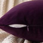 EMEMA Pack of 2 Velvet Throw Pillow Covers Decorative Square Pillowcase Soft Solid Cushion Case for Sofa Bedroom Chair Car 18x18 Inch Eggplant Purple