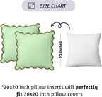 Folkulture Throw Pillow Cover | Set of 2 (20 x 20) | Decorative or Cute Outdoor Pillow, Sage Green Throw Pillows | Green Decor for Couch Pillows for Living Room