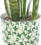 CHIVE ‘Liberte’ Ceramic Succulent Pots — 4.25” Cute Vintage Farmhouse Style Planters for Indoor Plants — Beautiful Home & Kitchen Decor — Green Leaves